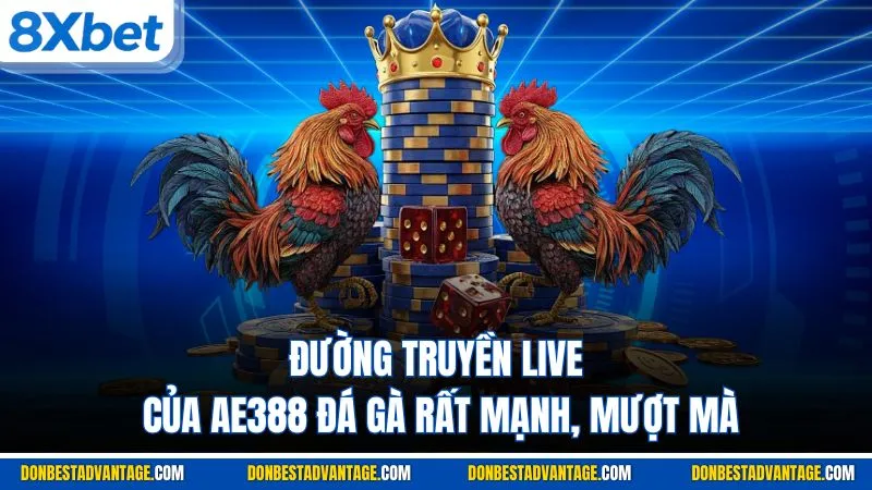 Đường truyền live của AE388 đá gà rất mạnh, mượt mà