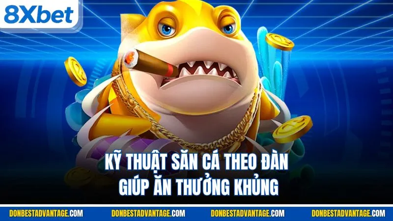 Kỹ thuật săn cá theo đàn giúp ăn thưởng khủng