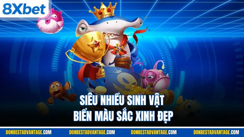Siêu nhiều sinh vật biển màu sắc xinh đẹp